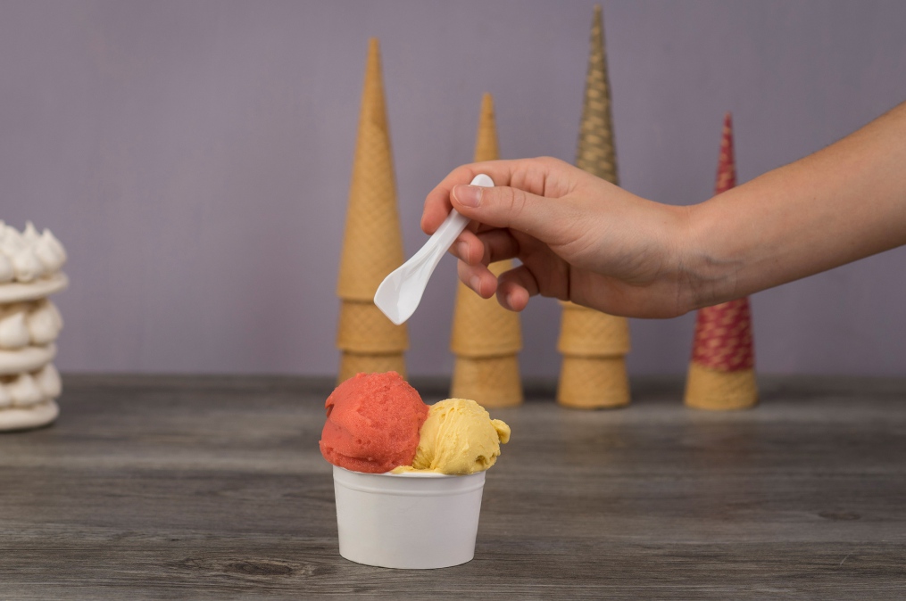 corso degustazione gelato naturale senza additivi | Artigeniale